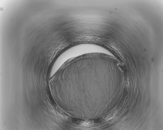 X0000086880504200705141414