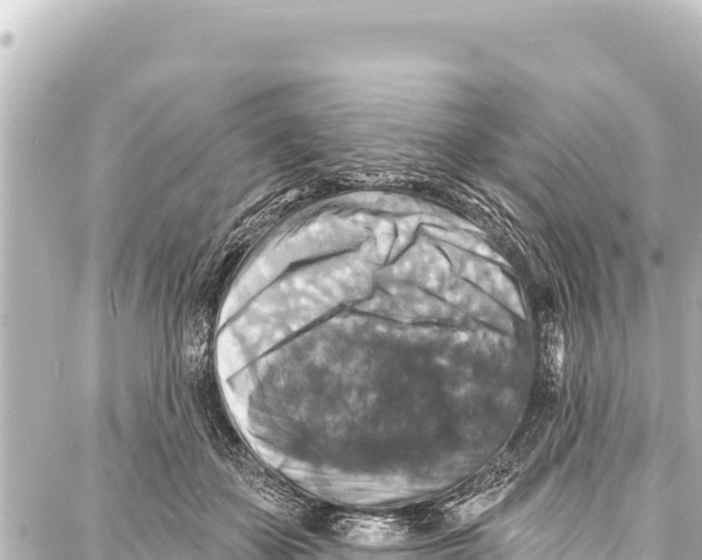 X0000086880507200705141414