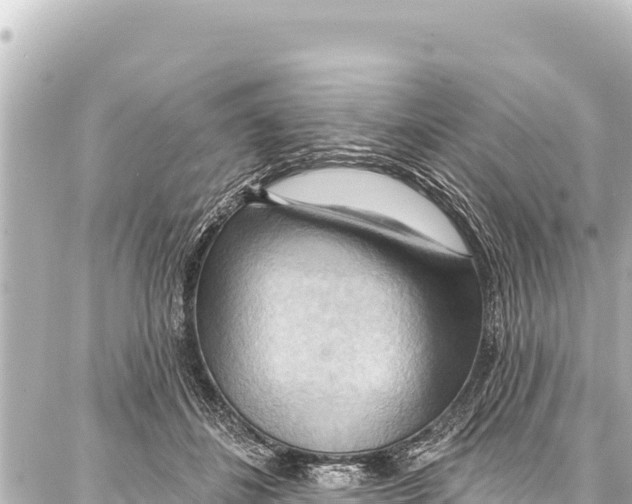 X0000086880508200705141414