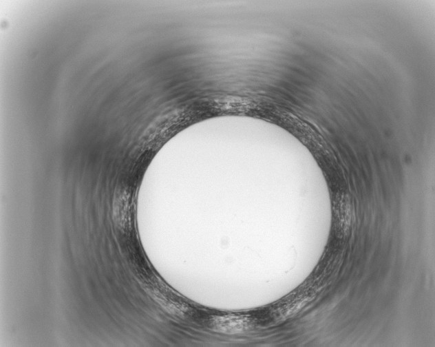 X0000086880511200705141414