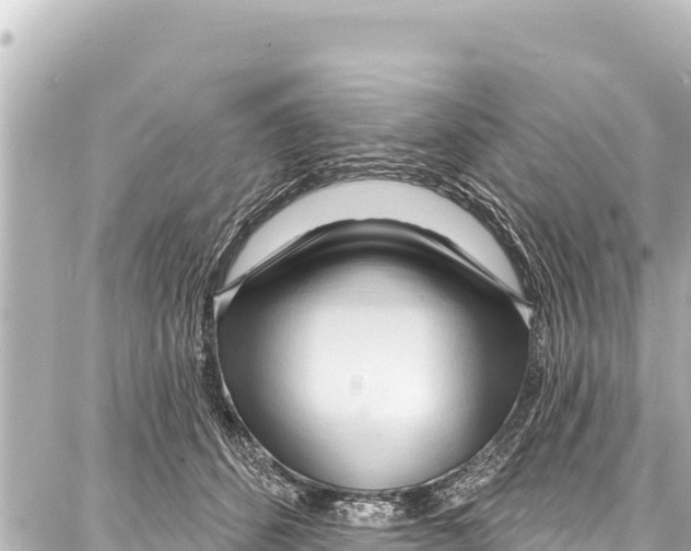 X0000086880512200705141413