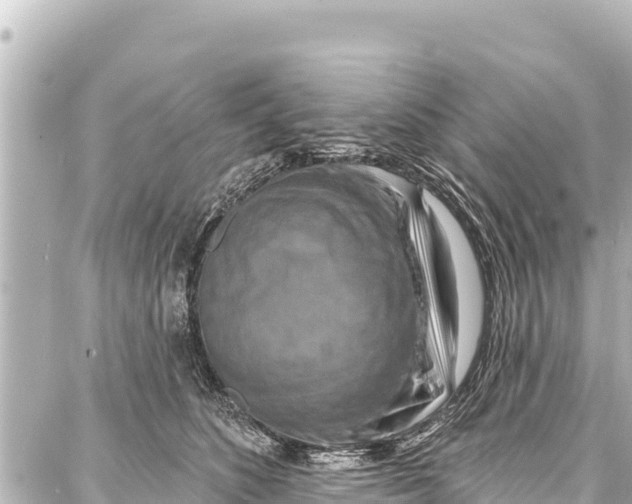 X0000086880516200705141413