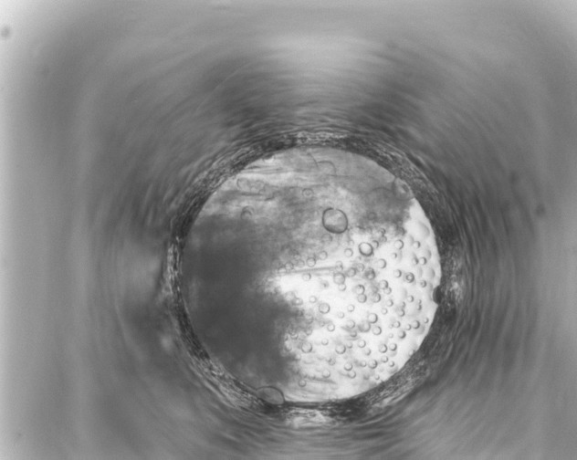 X0000086880519200705141413