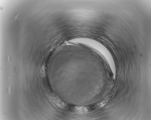 X0000086880520200705141413