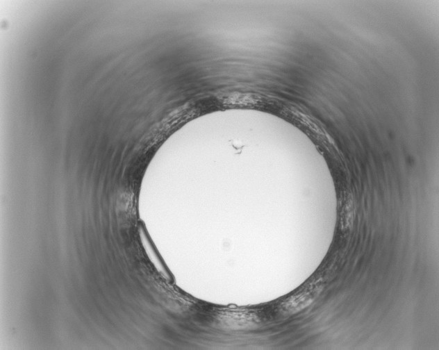 X0000086880521200705141413