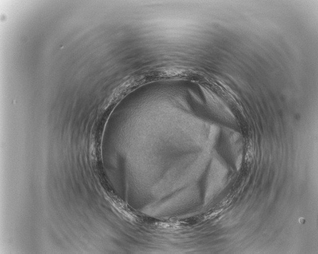 X0000086880524200705141413