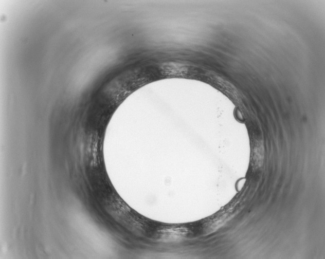 X0000086880525200705141413