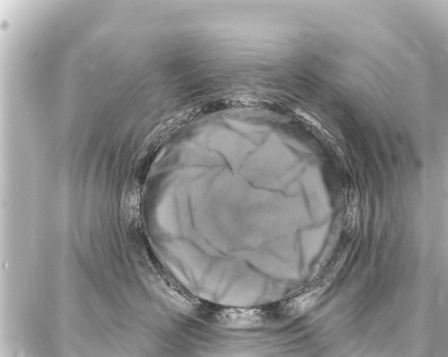 X0000086880526200705141413