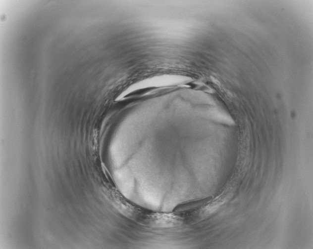 X0000086880528200705141413