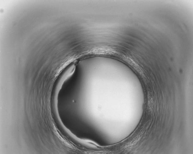 X0000086880530200705141412