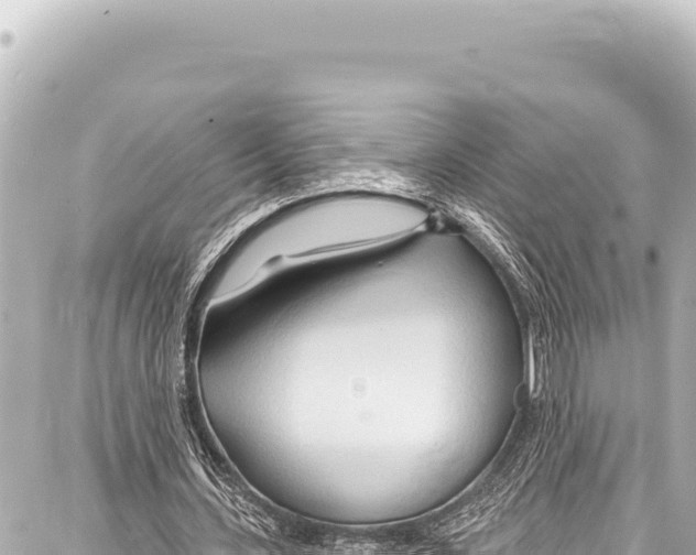 X0000086880531200705141412