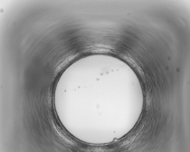 X0000086880533200705141413