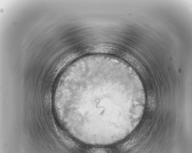 X0000086880534200705141413