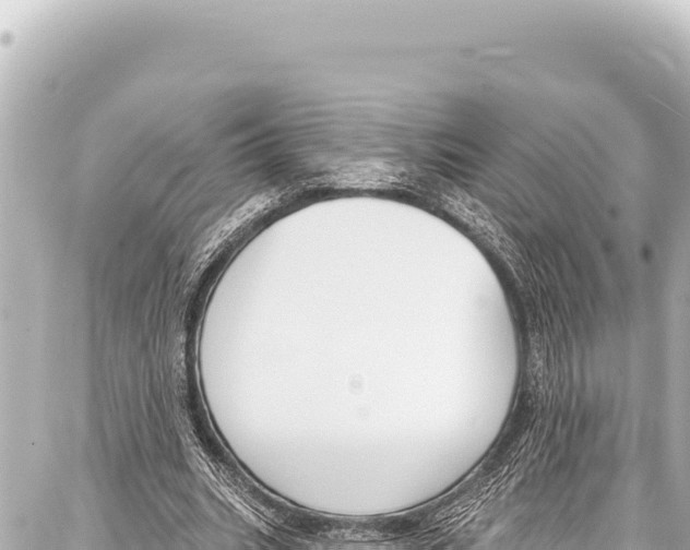 X0000086880535200705141413