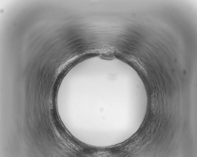 X0000086880536200705141413