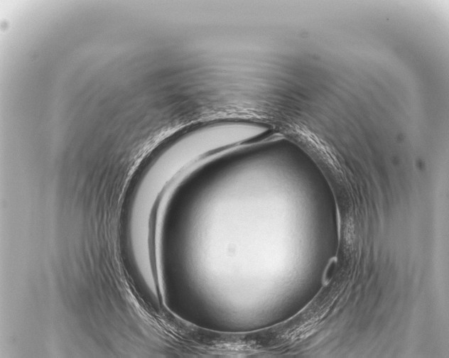 X0000086880540200705141413