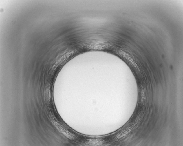 X0000086880541200705141413