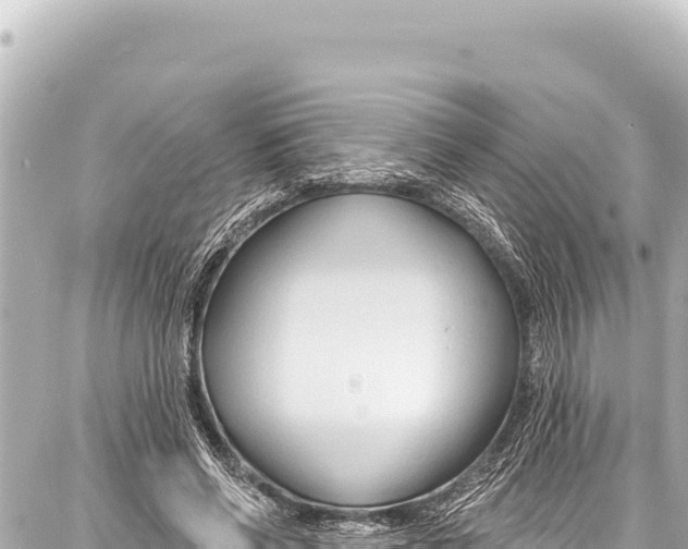 X0000086880542200705141413