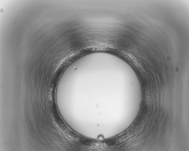 X0000086880543200705141413