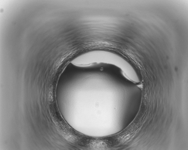 X0000086880547200705141413