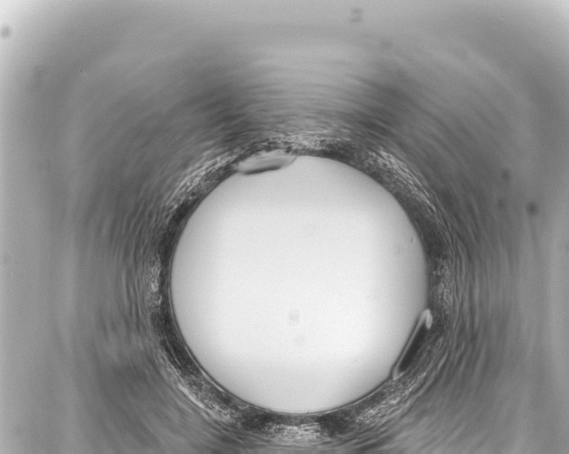 X0000086880548200705141413