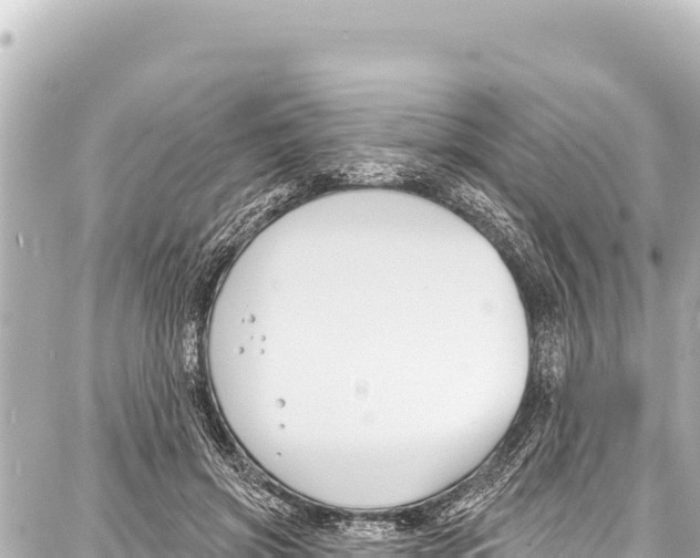 X0000086880549200705141413