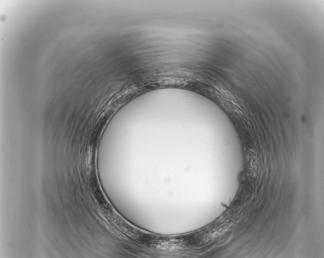 X0000086880550200705141413