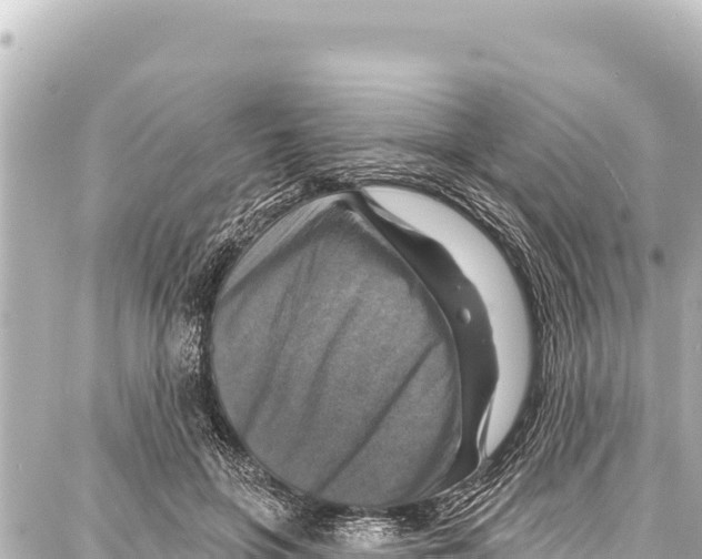 X0000086880551200705141413