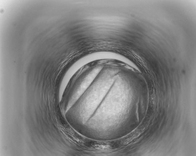 X0000086880552200705141413