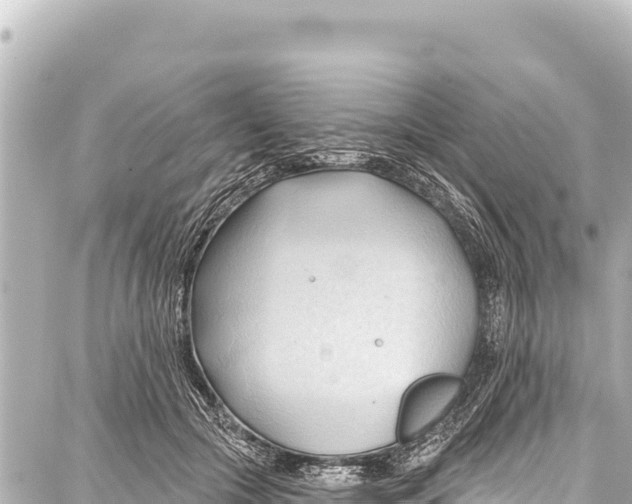 X0000086880553200705141413