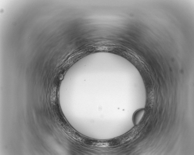 X0000086880554200705141413