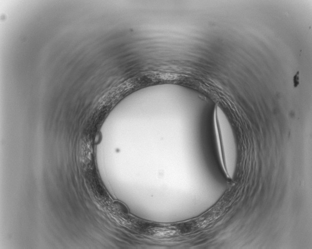 X0000086880555200705141413