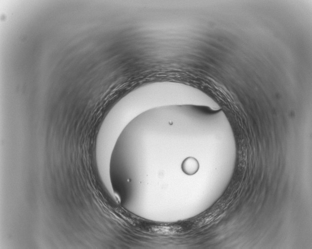 X0000086880558200705141413