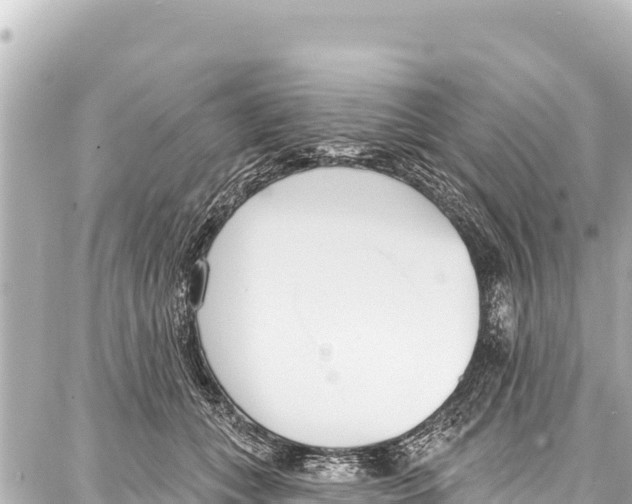 X0000086880559200705141413