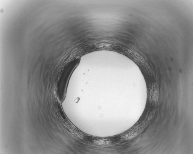 X0000086880561200705141413