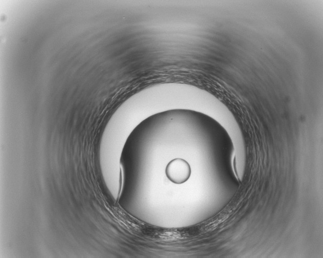 X0000086880562200705141413