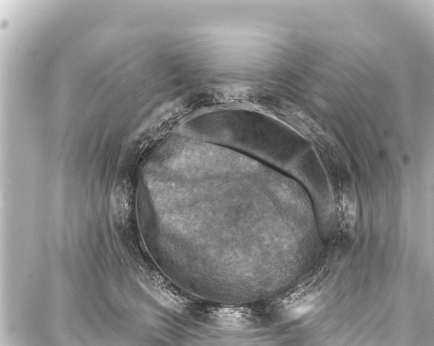 X0000086880566200705141413