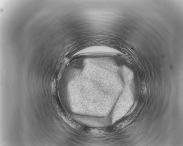 X0000086880568200705141413