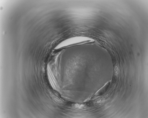 X0000086880570200705141413