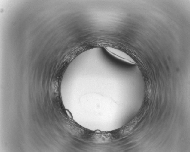 X0000086880571200705141413