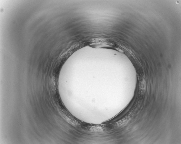 X0000086880572200705141413