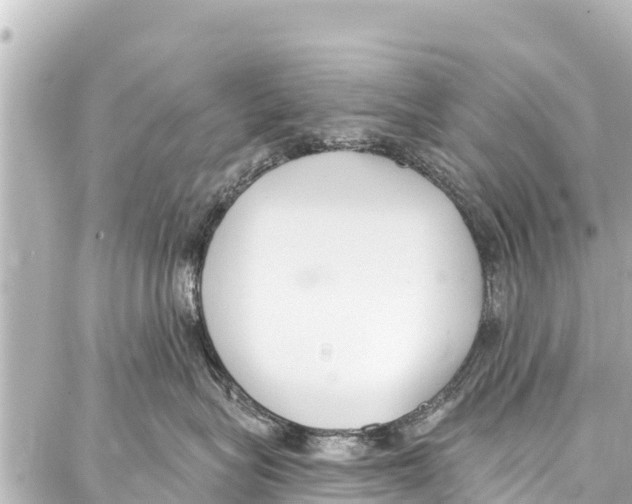 X0000086880575200705141413