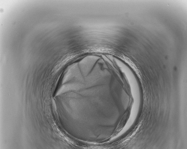 X0000086880577200705141412