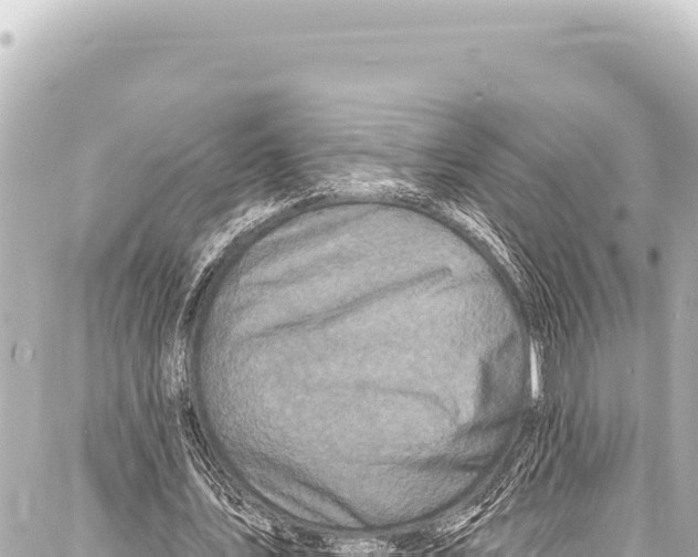 X0000086880579200705141412