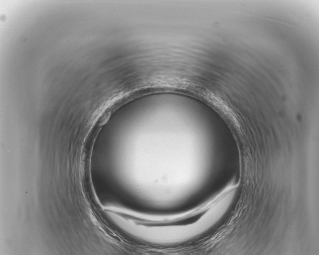 X0000086880580200705141412