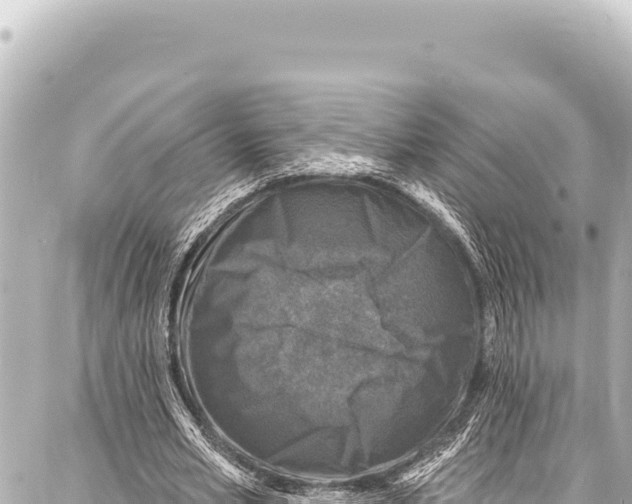 X0000086880581200705141412