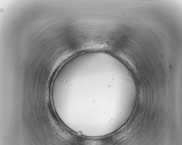 X0000086880582200705141412