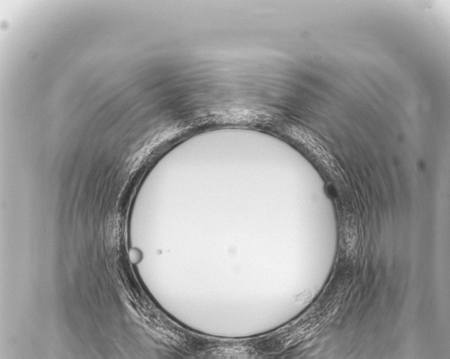 X0000086880583200705141412