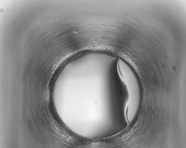 X0000086880584200705141412