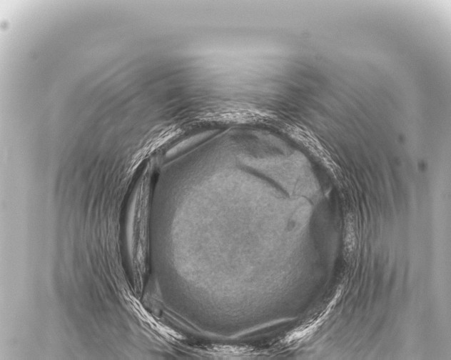 X0000086880585200705141412